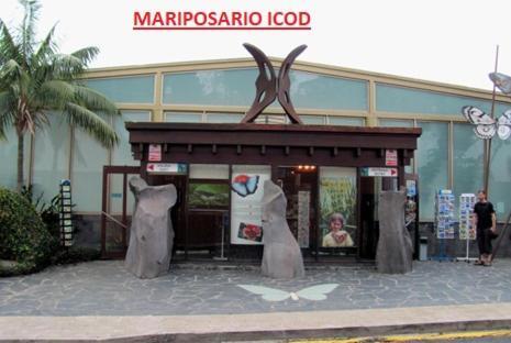 Apartamento Vistas De Icod Icod De Los Vinos Ngoại thất bức ảnh